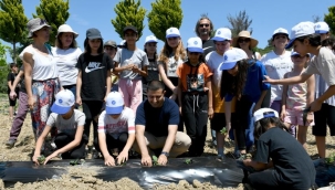 Kuşadalı minikler, Adabahçe'de domates, biber, patlıcan ekti