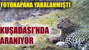 Kuşadası'nda 'Anadolu Parsı' aranıyor