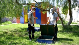 Kuşadası'nda sineğe karşı büyük mücadele! İlaçlama sürüyor