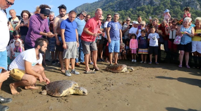 'Lütfen Carettalara dokunmayın'