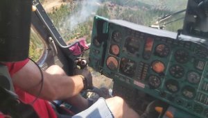 Manisa'da orman yangını