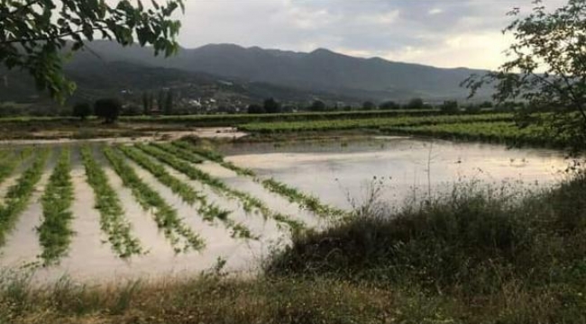 Manisa'da sağanak! Üzüm bağları göle döndü