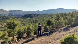 Muğla'da bazı bölgelerde ormanlara giriş yasaklandı