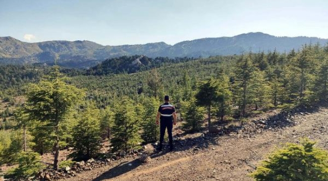 Muğla'da bazı bölgelerde ormanlara giriş yasaklandı