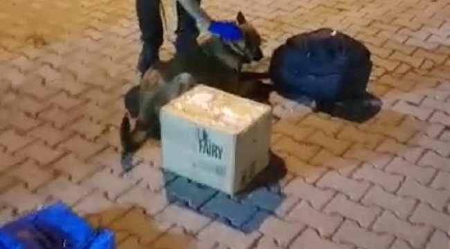 Narkotik köpeği 'Coco'nun katıldığı operasyonda 3 kilo esrar ele geçirildi