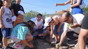 Seferihisar Belediyesi öncülük etti! Tarımının yeni yıldızı: Ekinezya