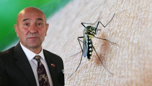 Sivrisinek değil 'trol saldırısı' varmış!