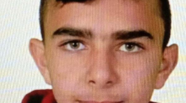 Traktör ile ağaç arasında sıkışarak öldü