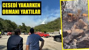 Vahşet! Cesedi ateşe verdiler, ormanı yaktılar