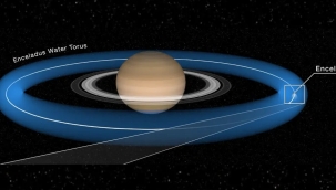 Yaşam belirtileri tespit edildi