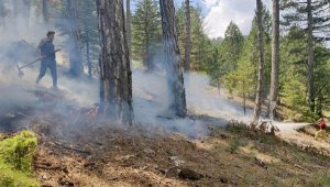 Yıldırımlar 1.5 ayda 28 orman yangını çıkardı