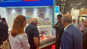 ABD'ye su ürünleri ve hayvansal mamulleri ihracatında yüzde 48'lik artış