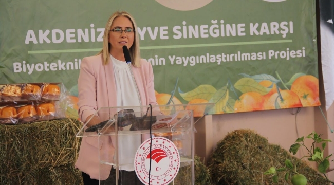 Ak Partili Çankırı'dan CHP'li Başkan Soyer'e "U Dönüşü" göndermesi