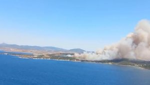 Aliağa ve Menderes ilçelerinde orman yangını