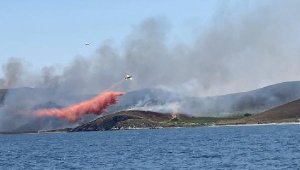 Avşa Adası'nda otluk arazide yangını