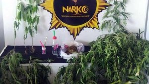 Aydın'da 2 uyuşturucu satıcısı tutuklandı