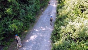 Aydın'da yasağa rağmen ormana giren 29 kişiye 37 bin 555 TL ceza