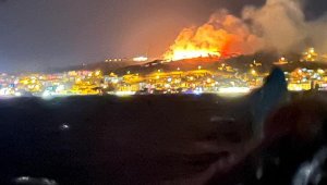 Ayvalık'ta Cennet Tepesi yakınlarında orman yangını