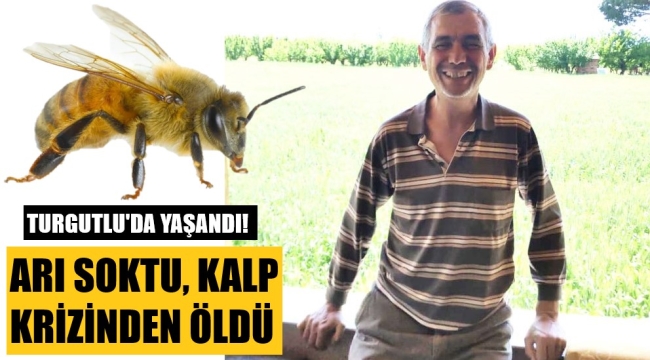 Bahçesinde arı soktu, kalp krizinden öldü