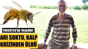 Bahçesinde arı soktu, kalp krizinden öldü