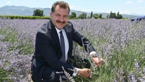 Balıkesir'de Aromaterapi Festivali 6 Temmuz'da başlıyor