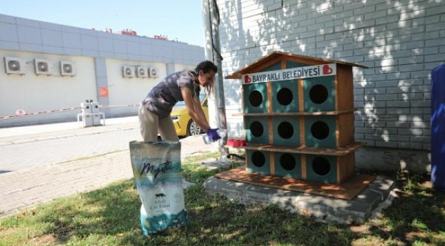 Bayraklı'da sokak hayvanları için 'bir kap su' kampanyası