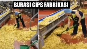 Bu cipleri bize yediriyor!