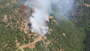 Bu kez Alaşehir'de orman yangını başladı