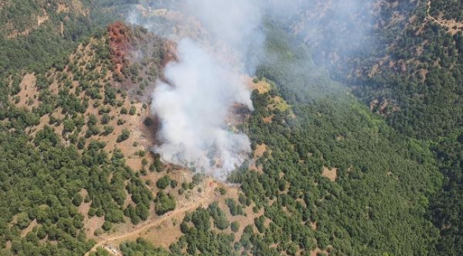 Bu kez Alaşehir'de orman yangını başladı