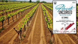 Bu yazın en lezzetli festivali Çeşme'de