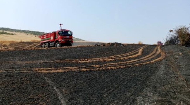 Çanakkale'de tarım arazisinde yangın; 1 hektar alan kül oldu
