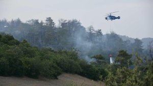 Çanakkale'deki orman yangını 16 saat sonra kontrol altında