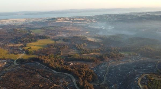 Çanakkale'deki orman yangınında 2 bin 500 hektar alan zarar gördü