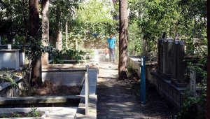 Çatal Mezarlığı'nda bakım ve onarımda sona gelindi