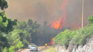 Çay demlerken ormanı yaktı, tutuklandı