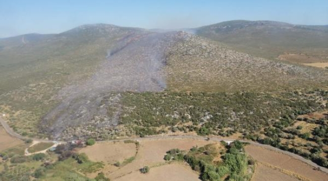 Çeşme'ye 4 uçak, 7 helikopterle müdahale