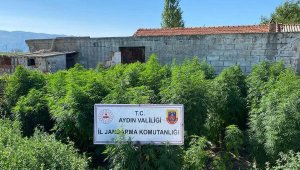 Çiftlik evine uyuşturucu baskınında 1 tutuklama