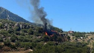 Datça'da makilikte başlayan yangın ormana sıçradı
