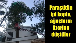 Deniz paraşütünün ipi kopunca ağaca düştüler