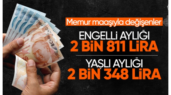 Engelli ve yaşlı aylığı artırıldı