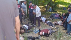 Feci kaza, ağaç minibüse saplandı: 7 ölü, 14 yaralı