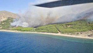 Gökçeada ormanları cayır cayır yanıyor