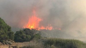 Gökçeada yangını, 17 saat sonra kontrol altında