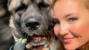 Hayvansever, hayvanseverin köpeğini öldürdü