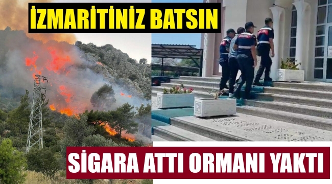 İzmaritiniz batsın! Ormanı yaktılar