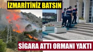 İzmaritiniz batsın! Ormanı yaktılar