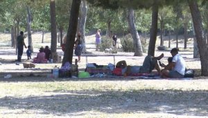 İzmir 40 derece! Ağaç altında yer kalmadı