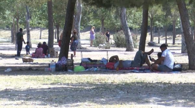 İzmir 40 derece! Ağaç altında yer kalmadı