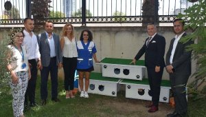 İzmir Adliyesi'nin kedilerine ev