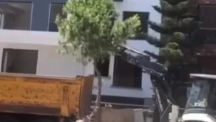 İzmir'de evin manzarasını kapatıyor diye ağacı kestiler